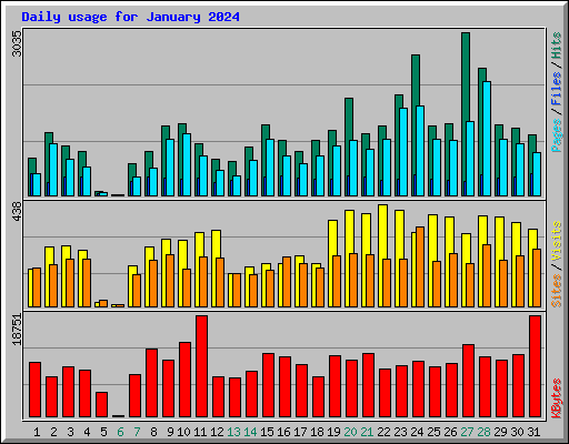 Daily usage for January 2024