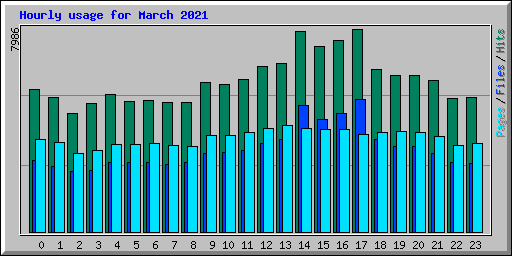 Hourly usage for March 2021