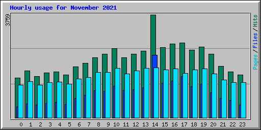Hourly usage for November 2021