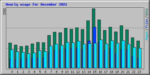 Hourly usage for December 2021