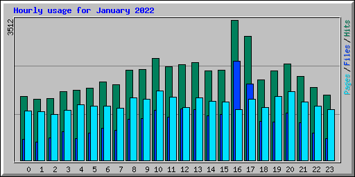 Hourly usage for January 2022