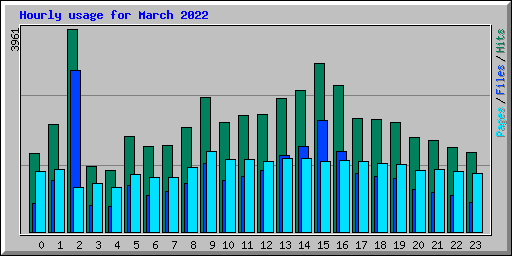 Hourly usage for March 2022