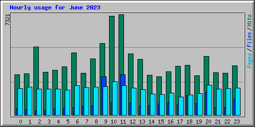 Hourly usage for June 2023