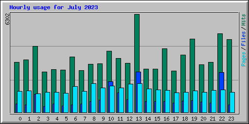 Hourly usage for July 2023