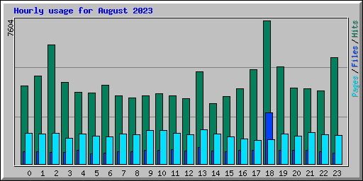 Hourly usage for August 2023