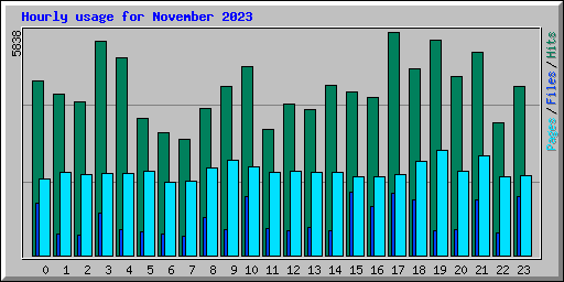 Hourly usage for November 2023