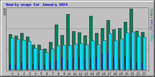 Hourly usage for January 2024